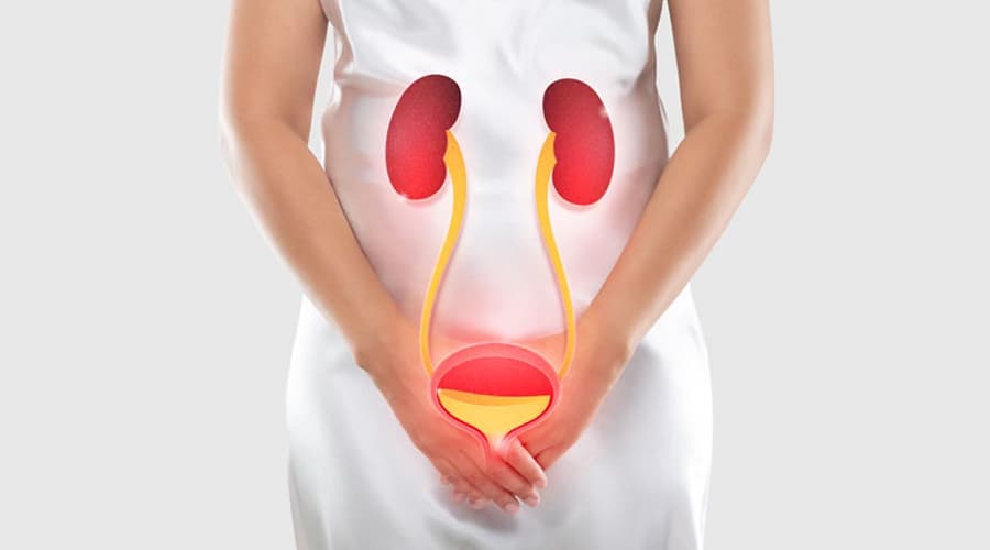 Infecciones Urinarias